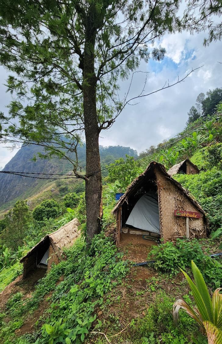 Thatched tents tucked into the hillside