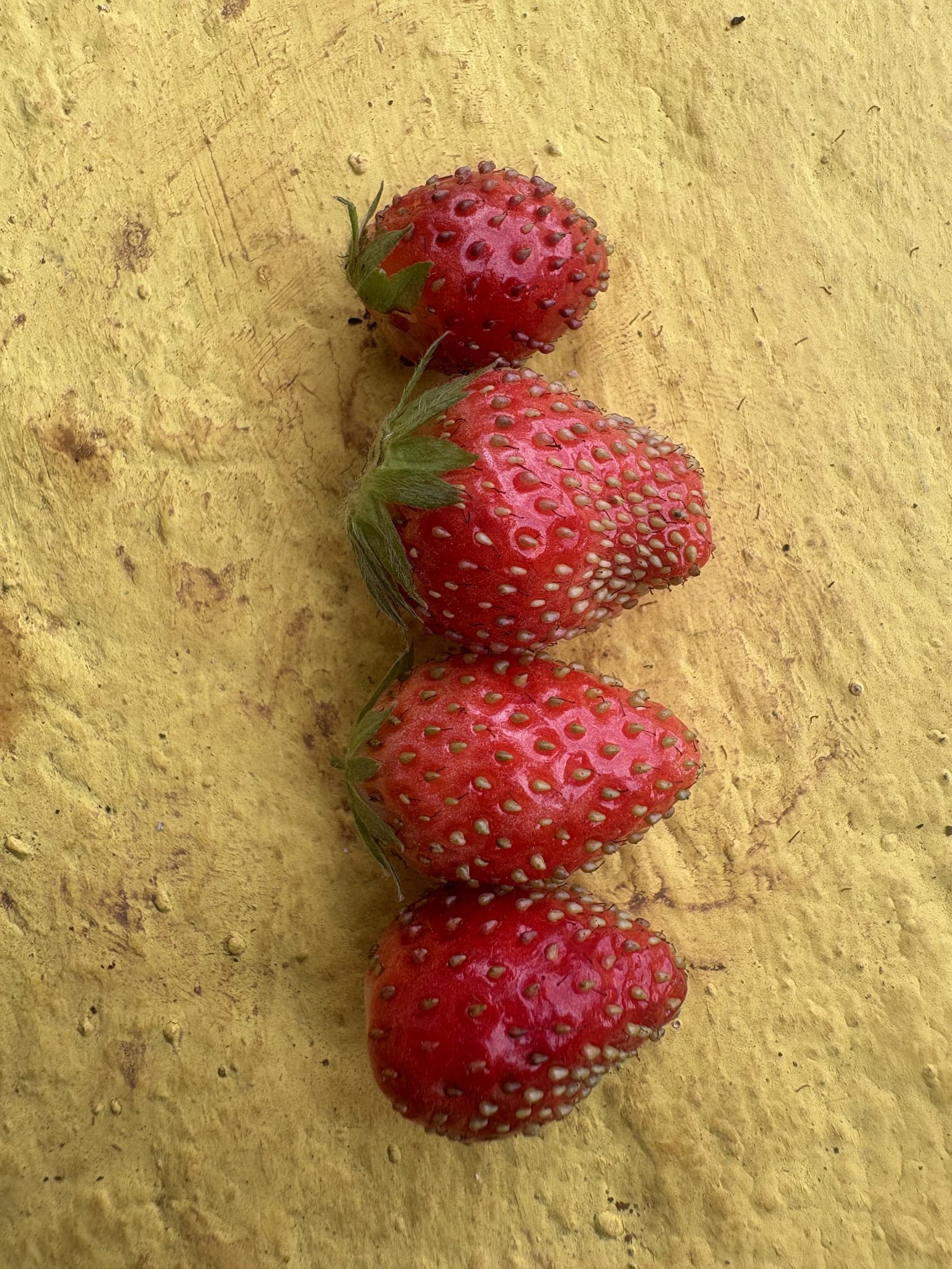 Hill strawberries