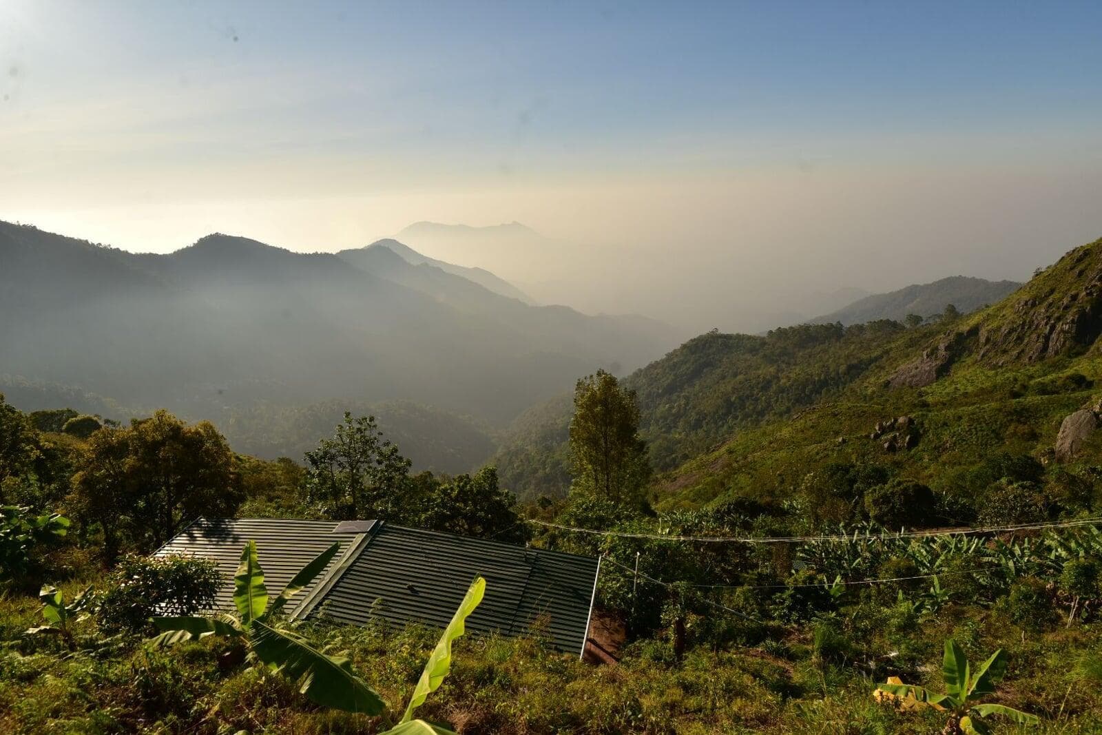 Terraced food forest dropping away into the misty valley below