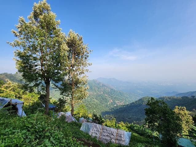 Terraced gardens on the slope overlooking a hazy valley