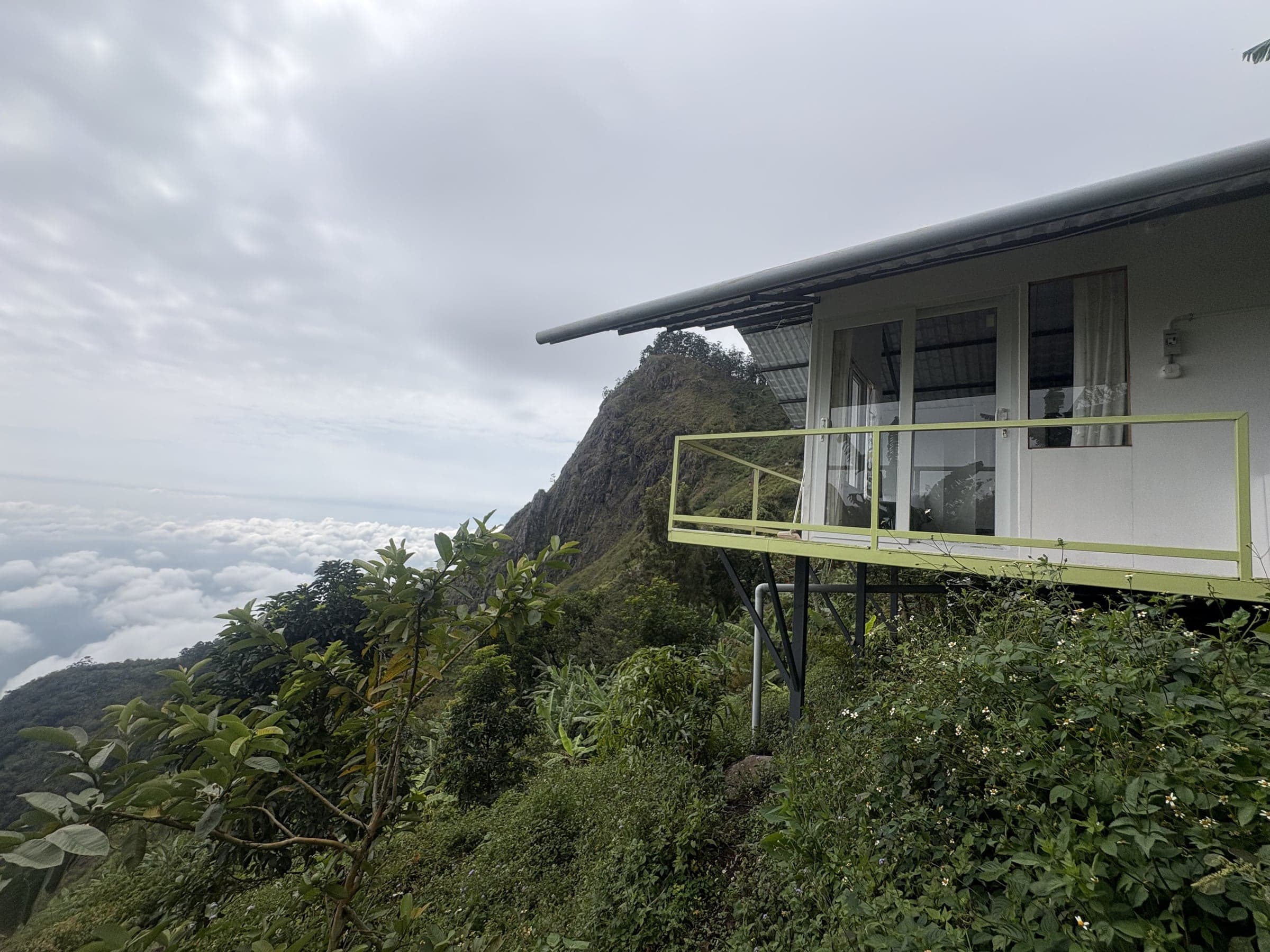 A garden cottage set into the slope